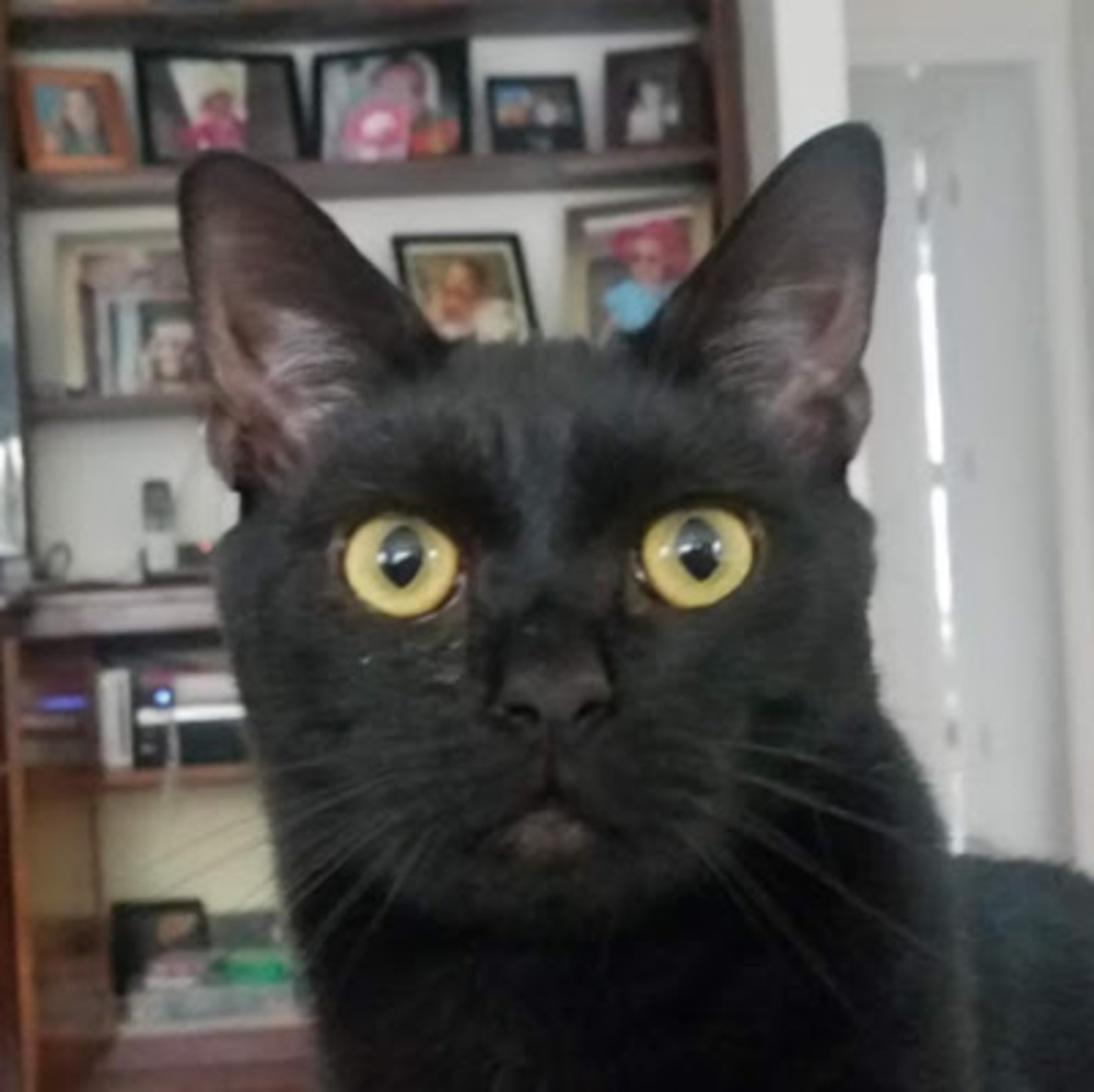 Meet your Posher, Natalia